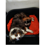 NAISSANCE 21 Mars 2026