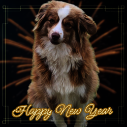 UTAH D'amour de la Barbottiere 