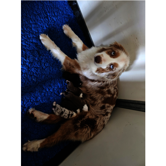 NAISSANCE 21 Mars 2026